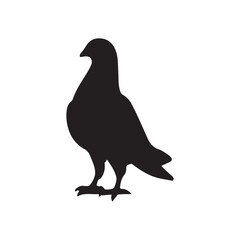 Fototapeta premium illustration of a pigeon silhouette vector art Illustration, Beautiful bird pigeon silhouette black icon vector art illustration
