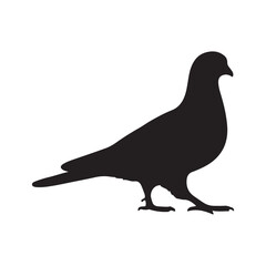 illustration of a pigeon silhouette vector art Illustration, Beautiful bird pigeon silhouette black icon vector art illustration