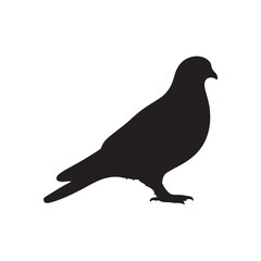 illustration of a pigeon silhouette vector art Illustration, Beautiful bird pigeon silhouette black icon vector art illustration