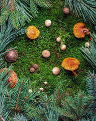 Fototapete bei efototapeten.de bestellen   