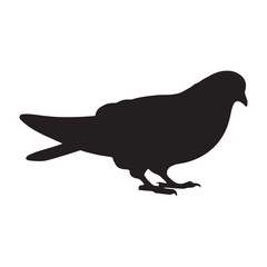 illustration of a pigeon silhouette vector art Illustration, Beautiful bird pigeon silhouette black icon vector art illustration