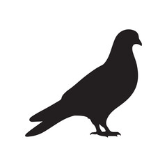 illustration of a pigeon silhouette vector art Illustration, Beautiful bird pigeon silhouette black icon vector art illustration