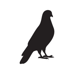 illustration of a pigeon silhouette vector art Illustration, Beautiful bird pigeon silhouette black icon vector art illustration