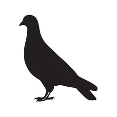 illustration of a pigeon silhouette vector art Illustration, Beautiful bird pigeon silhouette black icon vector art illustration