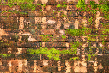 Old brick wall with lush green moss growing sporadically, blending the rustic and organic for an earthy, aged look