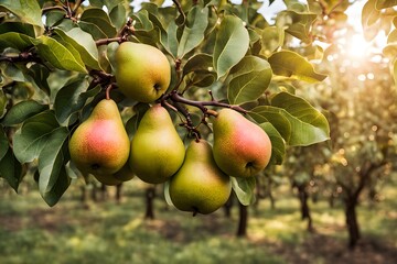 Obraz premium A pear tree branch with plump yellow pears in an orchard with autumn foliage, Ai Generated