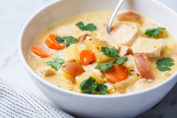 Chicken breast stew with potatoes and carrots in white bowl. Comfort food concept.