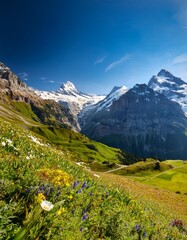 The Jagged Peaks and Serene Valleys of the Swiss Alps, Switzerland, Blanketed by Snow in Winter and Wildflowers in Summer, Offering a Stunning Mountain Landscape All Year Round