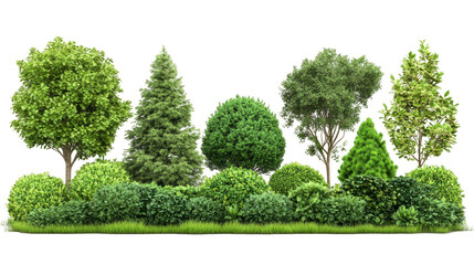 Obraz premium A row of bushes and trees with a white background
