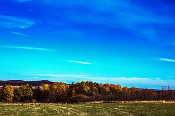 Obraz premium Landscapes - Forest - Europe, Romania, Suceava region