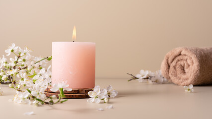 Beautiful composition with pastel colored candles and cherry blossom twig