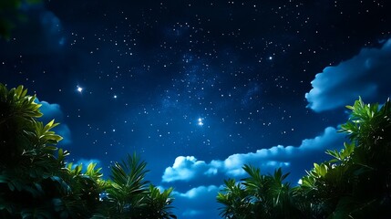 Fototapeta premium Tropical Night Sky Stars Clouds Lush Foliage Tranquil Scene