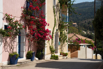 Fototapeta premium Bougainvillea decorating picturesque narrow street in assos village, kefalonia, greece