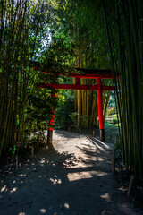 torii gate on pathway ,surrounded by bamboo ,Japanese style garden France ,hobbies ,gardening .