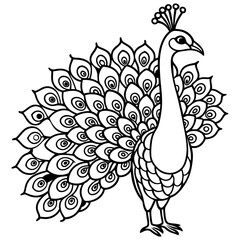 Peacock coloring pages