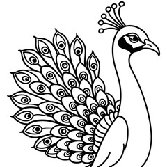Peacock coloring pages