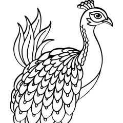 Fototapeta premium Peacock coloring pages