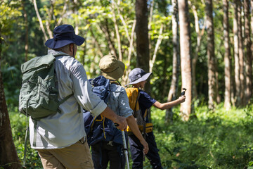 Group of Hikers Exploring the Forest Together, Highlighting Teamwork, Adventure, Nature Appreciation, and Outdoor Activity, Representing a Shared Journey Through a Green and Lush Woodland