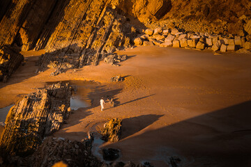 Sunset on the beach. Coastal view. Nice weather Perfect condition for a clean sunset.