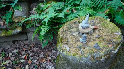 a pebble tower stacked on a rock and a fern growing next to it