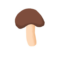 a brown chocoholate mushroom illustration