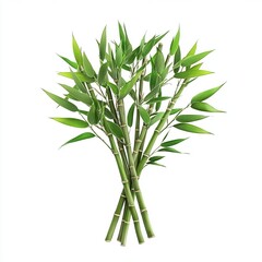 Fototapeta premium Green bamboo stems with leaves, cut out isolated on white a background