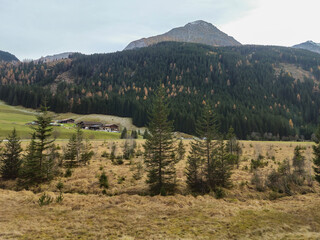 Austrian alps landscape, green fields, rocky mountains. Tyrol state.