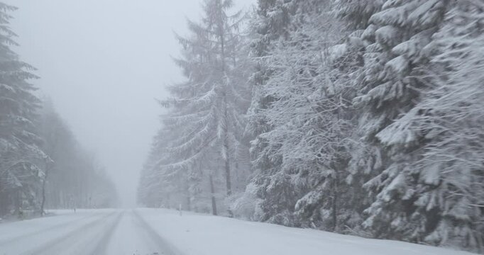 Winter Driving - Driving on a snowy country road through a wooded area - Filmed on a foggy winter day - POV shot / Front view driving plate