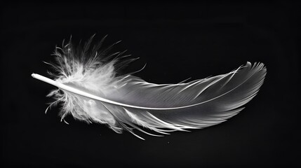 Obraz premium Feather gently falling against minimal black and bfedef eacceaee generated illustration