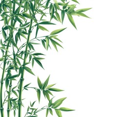 Vibrant green bamboo stalks with delicate leaves, ideal for nature-themed designs or backgrounds, symbolizing tranquility and resilience.