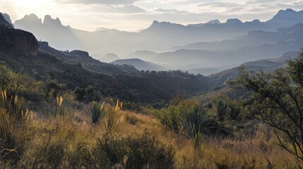 Mountain Range Landscape with Hazy Sky and Trees