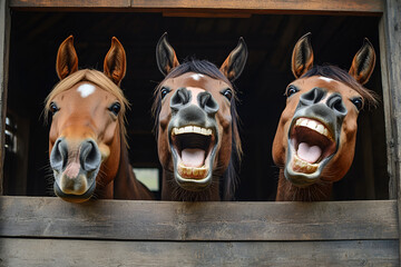 Three cute horses laughing in the stable