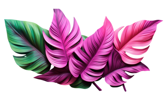 Artistic arrangement of fluorescent green and pink tropical leaves, with a glowing effect and sharp contrasts, flat lay view isolated on white background
