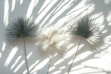 Obraz premium Whimsical Thistle Garden. Closeup of Blooming Blowball in Wild Plant Paradise