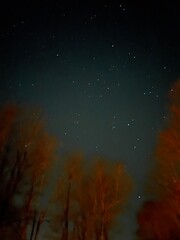 starry night sky