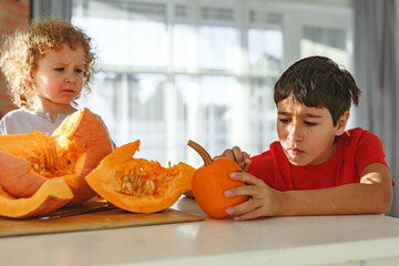 Two real happy siblings brother and sister cutting together from real natural pumpkin jack o...