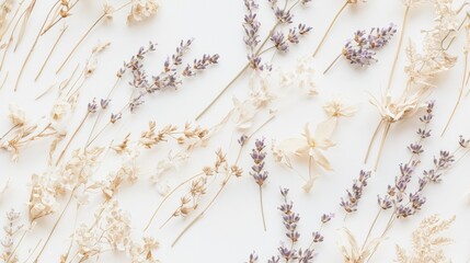 Tranquil Lavender and Dried Flowers Flat Lay on Light Background, Emphasizing Delicate Textures of Nature