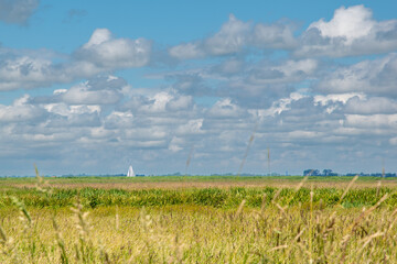 Typical Dutch polder landscape with clouds and sailboat at nature reserve Bloksloot (Bloksleat), Friesland, the Netherlands