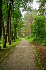 Naklejka premium Beautiful path through a forest on the hiking trail in summer through Aukstaitija National Park near Paluse, Ignalina district, Lithuania
