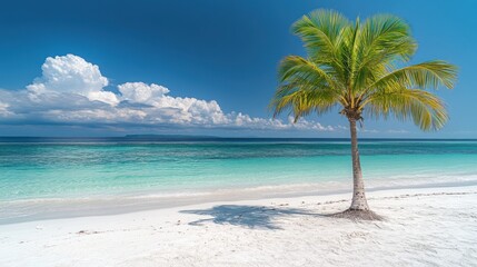 Obraz premium A lone palm tree stands on a pristine white sand beach, with turquoise water and a blue sky with white clouds.