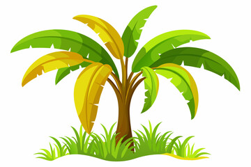  Beautiful banana tree on white background vector art illustration