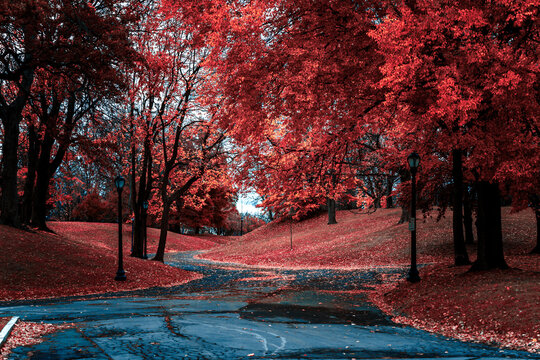 pasaje de oto&ntilde;o