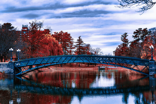 puente en el lago