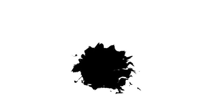 splash of black ink liquid flow