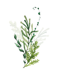 Watercolor winter evergreen branches bouquet with green thuja, rosemary, curl, black twigs. New Year hand drawn illustration. Artistic template design.
