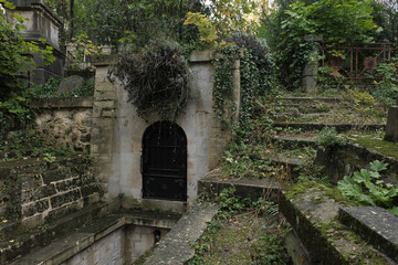 Naklejka premium Variety of vegetation that is taking over an old cemetery. On tombstones, ground, stairs, paths... etc. Shot in the cemeteries of Montparnasse and Pere Lachaise (Paris, France).
