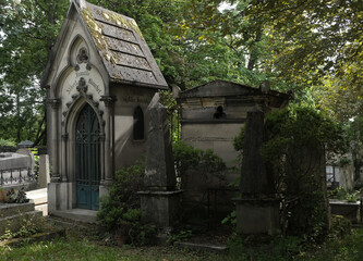 Obraz premium Variety of vegetation that is taking over an old cemetery. On tombstones, ground, stairs, paths... etc. Shot in the cemeteries of Montparnasse and Pere Lachaise (Paris, France).