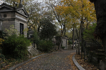 Variety of vegetation that is taking over an old cemetery. On tombstones, ground, stairs, paths......