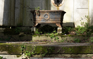 Variety of vegetation that is taking over an old cemetery. On tombstones, ground, stairs, paths... etc. Shot in the cemeteries of Montparnasse and Pere Lachaise (Paris, France).