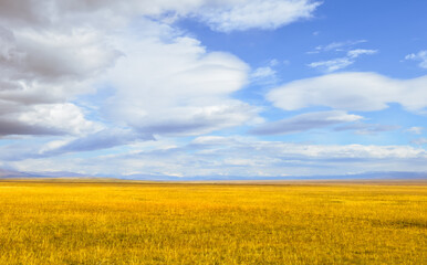 Obraz premium beautiful autumn landscape of Bayanbulak Grassland along Duku Highway(Rd. G217), Korla, Xinjiang 